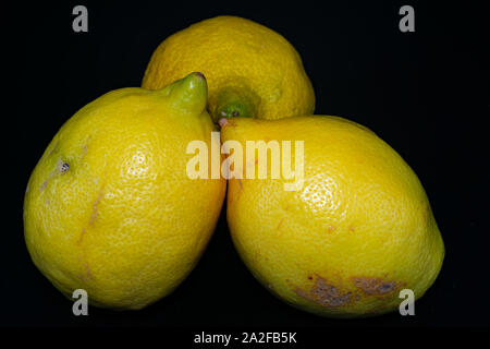 Lemon ist eine sehr gute Säure- Frucht für Diäten Stockfoto