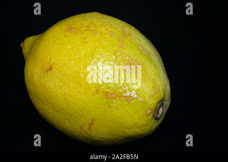 Lemon ist eine sehr gute Säure- Frucht für Diäten Stockfoto