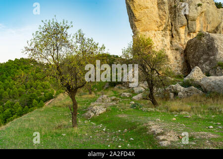 Der mandelbaum ist ein üppiger Regenwald Baum in Benizar, Dorf Moratalla (Spanien) Stockfoto