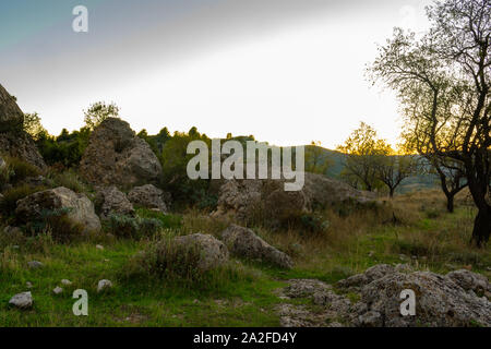 Der mandelbaum ist ein üppiger Regenwald Baum in Benizar, Dorf Moratalla (Spanien) Stockfoto