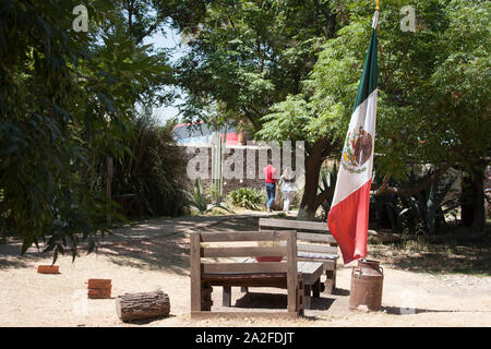 Garten Garten in Mexiko mit der nationalen Flagge in Besitz einer alten Metall Milch Aktivkohlefilter Stockfoto