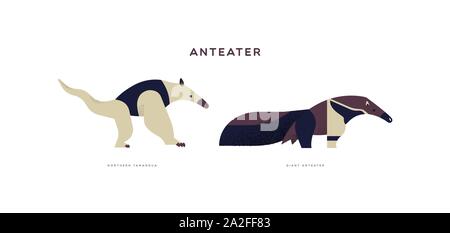 Wild ameisenbär Tier Abbildung auf isolierten weißen Hintergrund. Pädagogische Wildnis mit Pflanzenarten name label gesetzt. Stock Vektor