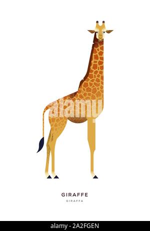 Afrikanische giraffe Abbildung auf isoliert weißer Hintergrund, Zoo oder Safari animal Konzept. Pädagogische wildlife Design mit Pflanzenarten Name Label. Stock Vektor