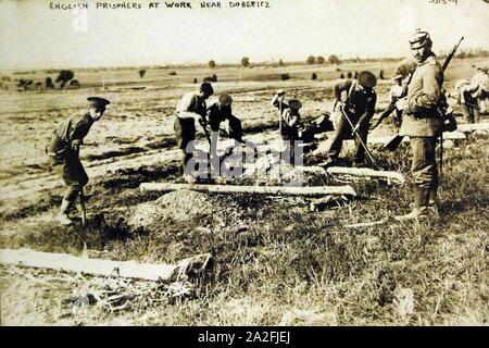 Englische Kriegsgefangene bei der Arbeit in der Nähe von Doberitz, Deutschland, WWI (29880659995). Stockfoto