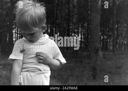 Kleiner Junge beobachtet einen Maikäfer, Deutschland 1930er Jahre. Little Boy beobachten kann ein Käfer, Deutschland 1930. Stockfoto