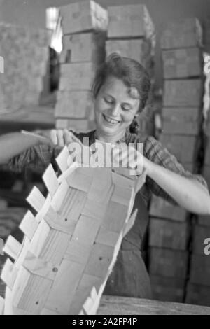 Arbeiterin in der Bühler Spankorbfabrik, sterben sterben sterben Körbe für die Erdbeerernte liefert, Deutschland 1930er Jahre. Arbeiterin in der Fabrik gebäude der Korb Fabrik, die Herstellung der Körbe für die Erdbeere Ernte in Bühl, Deutschland 1930. Stockfoto