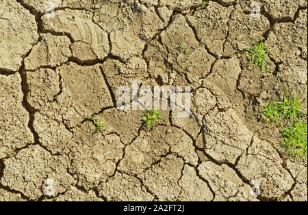 Getrocknete See unten und Risse auf dem Boden wie Wasser zeichnen sich während der Sommer in Belgrad Wald See in der Türkei. Stockfoto