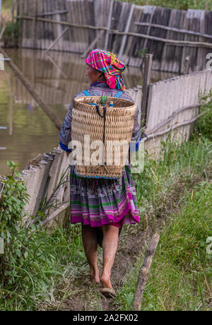 Weibliche Arbeitnehmer in Terrasse Reisfelder, Mu Cang Chai, in der Nähe von Sapa, Nordvietnam Stockfoto