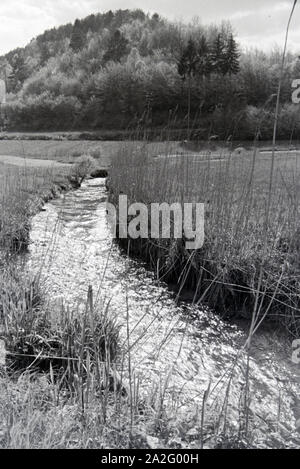 Ein Ausflug in den Odenwald, Deutsches Reich 30er Jahre. Ein Ausflug in den Wald von Oden, Deutschland 1930. Stockfoto