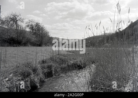 Ein Ausflug in den Odenwald, Deutsches Reich 30er Jahre. Ein Ausflug in den Wald von Oden, Deutschland 1930. Stockfoto