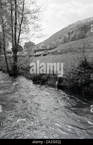 Ein Ausflug in den Odenwald, Deutsches Reich 30er Jahre. Ein Ausflug in den Wald von Oden, Deutschland 1930. Stockfoto