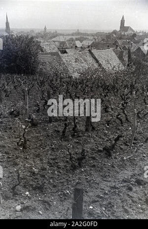 Ein Ausflug nach Deidesheim in der Pfalz, Deutsches Reich 30er Jahre. Ein Ausflug nach Deidesheim in der Pfalz; Deutschland 1930. Stockfoto