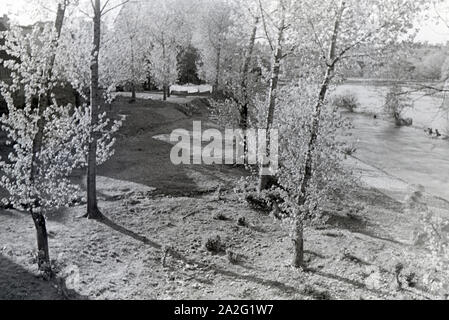 Ein Ausflug an den Neckar, Deutsches Reich 30er Jahre. Ein Ausflug an den Neckar; Deutschland 1930. Stockfoto