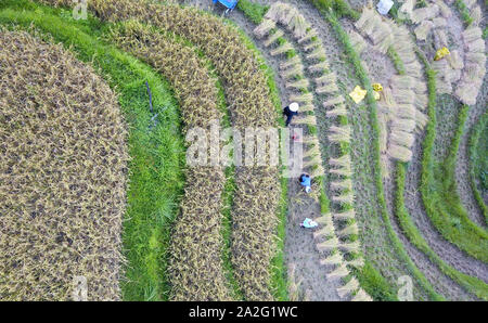 Peking, China. 17 Sep, 2019. Luftbild vom Sept. 17, 2019 zeigt Dorfbewohner Ernte den Reis, der auf jihua Dorf Jihua County im Rongjiang Bezirk Qiandongnan Miao und Dong Autonomen Präfektur, Südwesten Chinas Provinz Guizhou. Credit: Yang Wenbin/Xinhua/Alamy leben Nachrichten Stockfoto