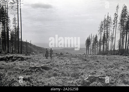 Zwei junge Frauen beim Wandern im Nordschwarzwald, Deutschland 1930er Jahre. Zwei junge Frauen wandern im Nördlichen Schwarzwald, Deutschland 1930. Stockfoto