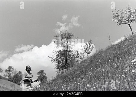 Ein Ausflug nach Freiburg im Breisgau, Deutsches Reich 30er Jahre. Eine Exkursion nach Freiburg im Breisgau, Deutschland 1930. Stockfoto