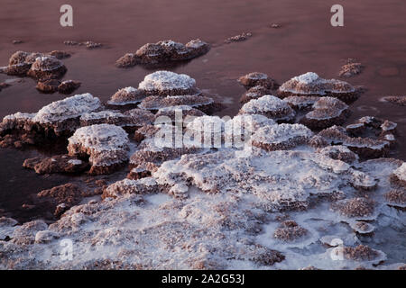 Tebinquinche Lagune, Salar de Atacama, San Pedro de Atacama, Chile Stockfoto