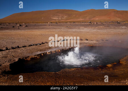 El Tatio Geysire, San Pedro de Atacama, Chile. Stockfoto