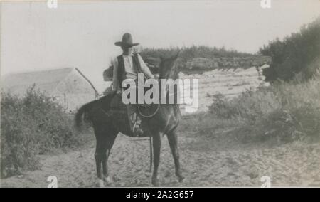 Schmirgel Le Grandeur, World Champion Rider, Cabri, Saskatchewan, bereit für den Bereich (HS 85-10 -33344). Stockfoto