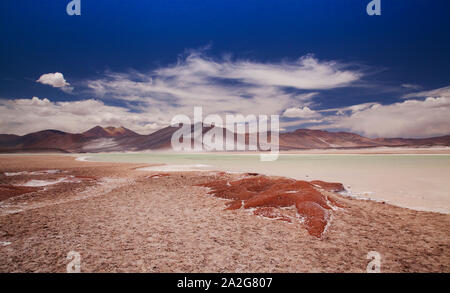 Rote Felsen (Piedras Rojas) und Lagunen und Salzseen in der Atacama-wüste, Chile. Stockfoto