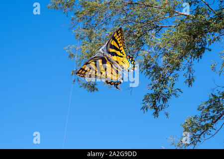 Ein Schmetterling Kite ist in Ästen hängen geblieben, mit einem verwickelt String Stockfoto