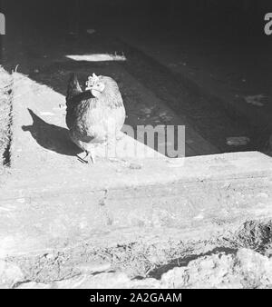 Ein Ausflug in Ein Skigebiet in Bayern, 1930er Jahre Deutsches Reich. Eine Reise in ein Skigebiet in Bayern, Deutschland der 1930er Jahre. Stockfoto