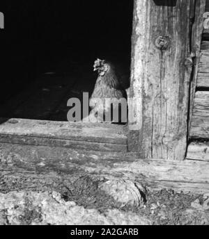 Ein Ausflug Nach Mittelberg in Österreich, 1930er Jahre Deutsches Reich. Eine Reise nach Mittelberg in Österreich, Deutschland der 1930er Jahre. Stockfoto