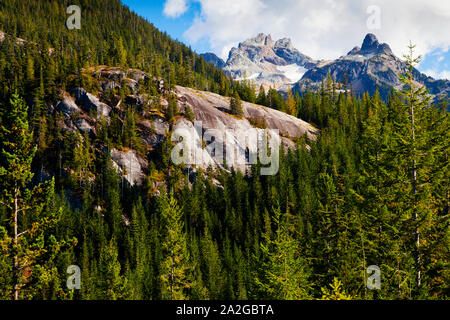Blick auf den Wald und Sky Pilot und Co-Pilot Berge an der Oberseite der Gondel, Squamish, BC. Stockfoto