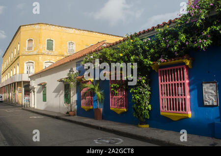 Zwei farbige Fenster und einen üppigen Weinstock Dekor ein die Fassade eines alten Hauses, das in der ummauerten Stadt Cartagena Stockfoto
