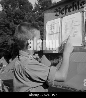 Ein Hitlerjunge schaut sich den Tagesbefehl am Schwarzen Brett im Hiitlerjungend Lager ein, Österreich 1930er Jahre. Ein Hitler Jugend lesen die Reihenfolge der Tag auf dem Aushang an der Hitler Jugend Camp, Österreich 1930. Stockfoto