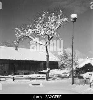 Skiausflug Nach Immenstadt Im Allgäu, Deutschland 1930er Jahre. Skiurlaub in Immenstadt im Allgäu Bereich, Deutschland der 1930er Jahre. Stockfoto