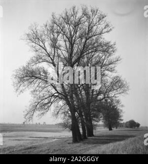 Unterwegs in der alten Hansestadt Tangermünde, Deutschland 1930er Jahre. In der alten Stadt von Tangermuende, Deutschland 1930. Stockfoto