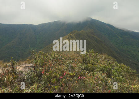 Blick auf den Grat auf der erstaunlichen Mirador Trail, Podocarpus-nationalpark, Loja, Ecuador Stockfoto