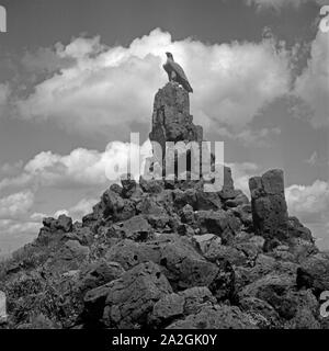 Das 1923 errichtete Fliegerdenkmal für sterben im 1. Weltkrieg gefallenen Feldpiloten auf dem Westhang der Wasserkuppe, Deutschland 1930er Jahre. WWI-Denkmal, errichtet im Jahre 1923, für gefallene Piloten an den westlichen Hängen der Wasserkuppe, Deutschland 1930. Stockfoto