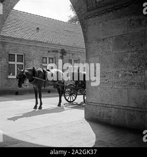 Ein kutschpferd vor einem Hauseingang in Bad Nauheim, Deutschland 1930er Jahre. Ein Trainer Pferd vor dem Eingang eines Hauses in Bad Nauheim, Deutschland 1930. Stockfoto