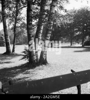 Ein Ausflug Nach Bad Rippoldsau-Schapbach, 1930er Jahre Deutsches Reich. Eine Reise nach Bad Rippoldsau-Schapbach, Deutschland der 1930er Jahre. Stockfoto