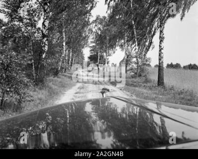 Eindruck aus der Deutschen Landschaft, Deutschland 1839er Jahre. Impressionen aus der deutschen Landschaft, Germamy der 1930er Jahre. Stockfoto