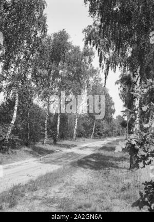 Eindruck aus der Deutschen Landschaft, Deutschland 1839er Jahre. Impressionen aus der deutschen Landschaft, Germamy der 1930er Jahre. Stockfoto