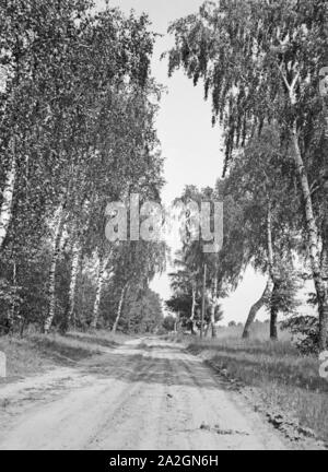 Eindruck aus der Deutschen Landschaft, Deutschland 1839er Jahre. Impressionen aus der deutschen Landschaft, Germamy der 1930er Jahre. Stockfoto