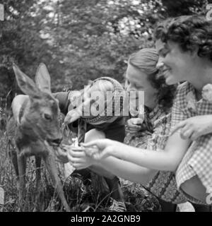 Drei junge Frauen devastate im Zoo ein kleines Reh, Deutschland 1930er Jahre. Drei junge Frauen streicheln ein Reh im Zoo, Deutschland 1930. Stockfoto