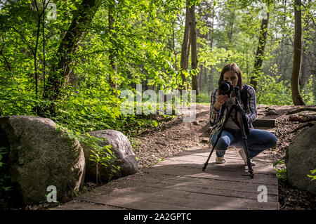Konzentrierte sich Frau Fotograf nimmt Bilder von Sommer Wald und ökologische Wege in das Sonnenlicht auf eine Kamera, die auf einem Stativ steht. Stockfoto