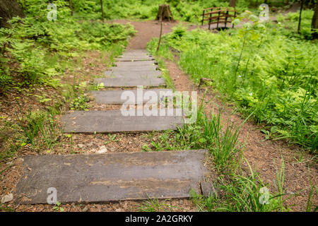 Holz Treppen sind nass vom Regen, und einen Weg zu einer kleinen Brücke über einen Bach in einem Sommer Forest Park. Stockfoto