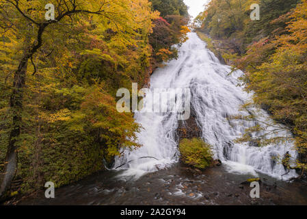 Herbst Wald am Yudaki fällt bei Nikko Tochigi in Japan Stockfoto