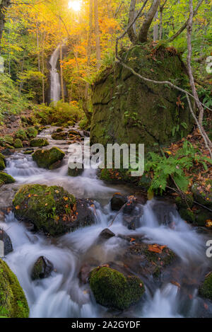 Oirase Herbst Landschaft aus Wald Wald und Wasserfall in Japan Tohoku Aomori Stockfoto
