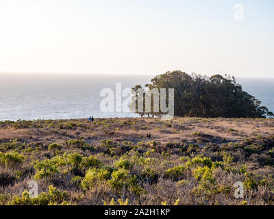 Vater und Sohn gehen auf Täuschung über den Pazifischen Ozean mit Eukalyptusbäumen in Montana de Oro State Park in Los Osos, Kalifornien, USA Stockfoto