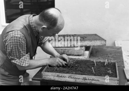 Alltagsszenen eines landwirtschaftlichen Betriebs, Deutsches Reich 30er Jahre. Szenen aus dem täglichen Leben eines landwirtschaftlichen Unternehmens, Deutschland 1930. Stockfoto