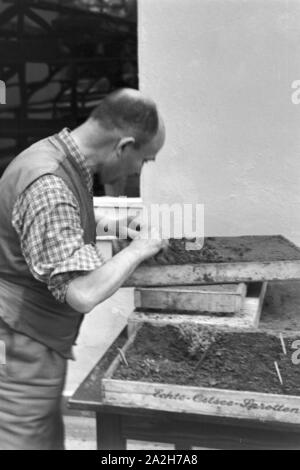 Alltagsszenen eines landwirtschaftlichen Betriebs, Deutsches Reich 30er Jahre. Szenen aus dem täglichen Leben eines landwirtschaftlichen Unternehmens, Deutschland 1930. Stockfoto