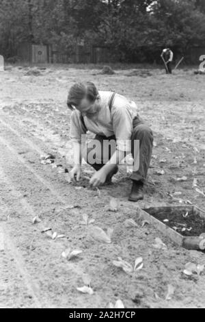 Alltagsszenen eines landwirtschaftlichen Betriebs, Deutsches Reich 30er Jahre. Szenen aus dem täglichen Leben eines landwirtschaftlichen Unternehmens, Deutschland 1930. Stockfoto