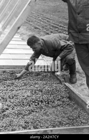 Alltagsszenen eines landwirtschaftlichen Betriebs, Deutsches Reich 30er Jahre. Szenen aus dem täglichen Leben eines landwirtschaftlichen Unternehmens, Deutschland 1930. Stockfoto