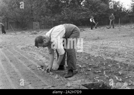 Alltagsszenen eines landwirtschaftlichen Betriebs, Deutsches Reich 30er Jahre. Szenen aus dem täglichen Leben eines landwirtschaftlichen Unternehmens, Deutschland 1930. Stockfoto